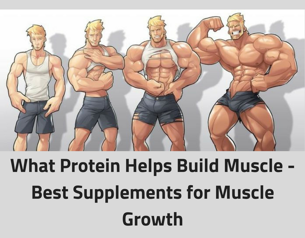 What Protein Helps Build Muscle - Best Supplements for Muscle Growth